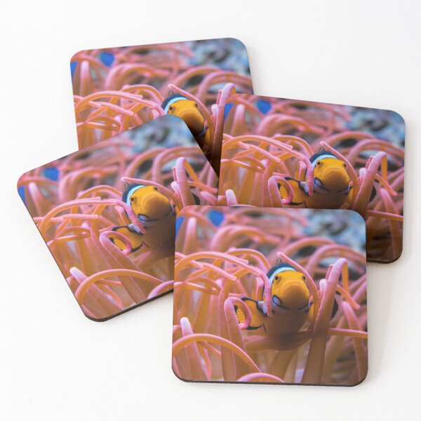 Item preview, Cute Clown Fish Hiding in Pink Sea Anemone designed and sold by Luxxe87.