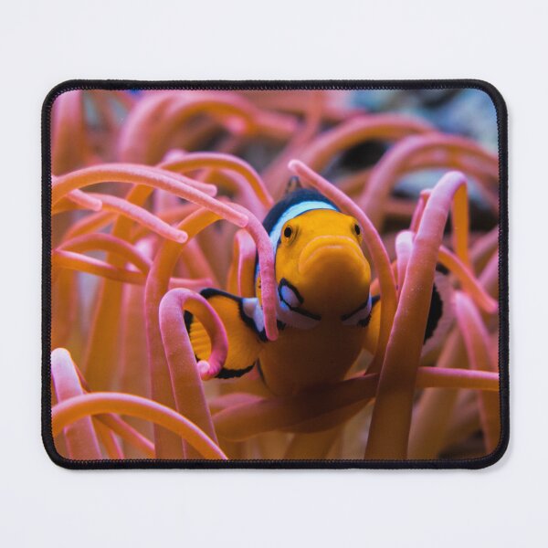 Item preview, Cute Clown Fish Hiding in Pink Sea Anemone designed and sold by Luxxe87.