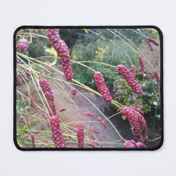 Item preview, Beauty is in the details designed and sold by Raigitam.