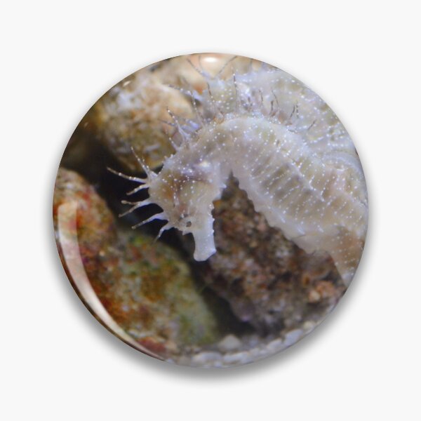 Item preview, Two White Sea Horses Living in Coral Reef designed and sold by Luxxe87.