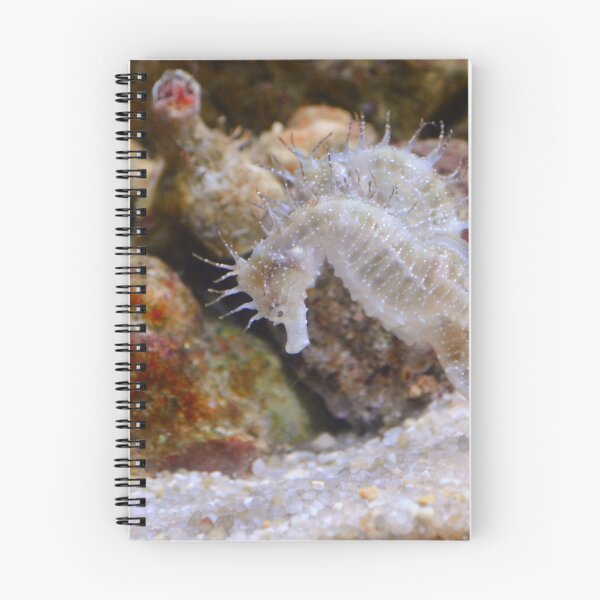Item preview, Two White Sea Horses Living in Coral Reef designed and sold by Luxxe87.