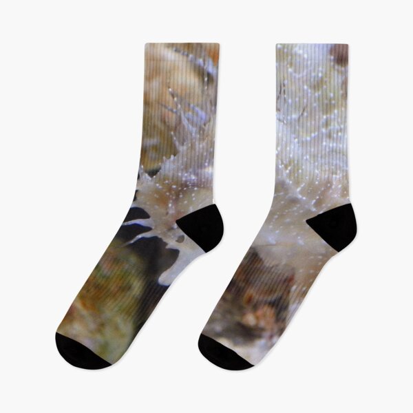 Item preview, Two White Sea Horses Living in Coral Reef designed and sold by Luxxe87.
