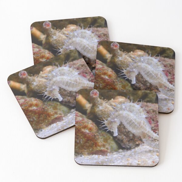 Item preview, Two White Sea Horses Living in Coral Reef designed and sold by Luxxe87.