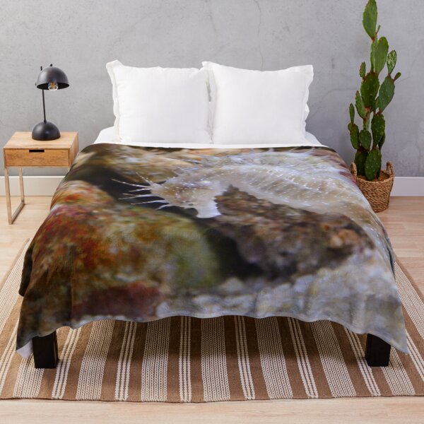Item preview, Two White Sea Horses Living in Coral Reef designed and sold by Luxxe87.
