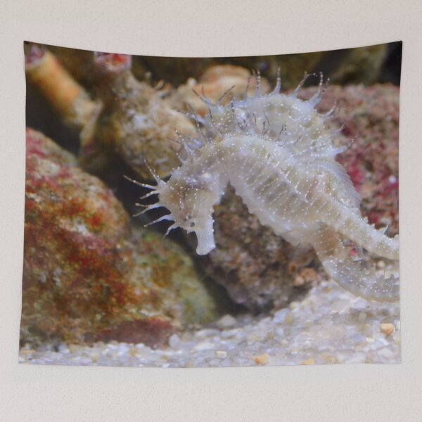 Item preview, Two White Sea Horses Living in Coral Reef designed and sold by Luxxe87.