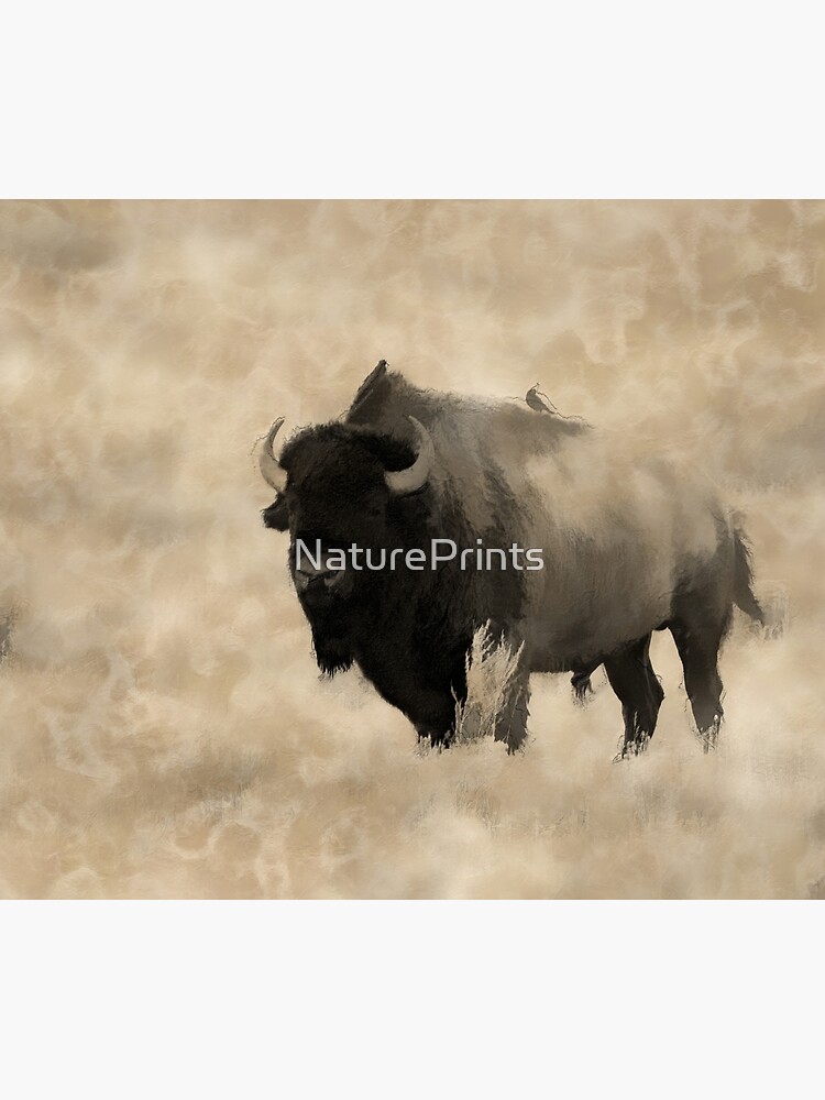 American Buffalo - Plains Bison by NaturePrints