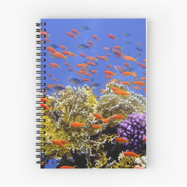 Item preview, Colorful Coral Reef With Orange Fish designed and sold by Luxxe87.