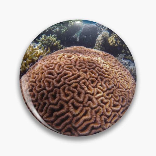 Item preview, Large Brain Coral Reef designed and sold by Luxxe87.