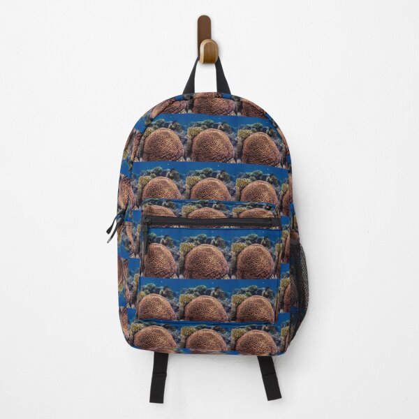 Item preview, Large Brain Coral Reef designed and sold by Luxxe87.
