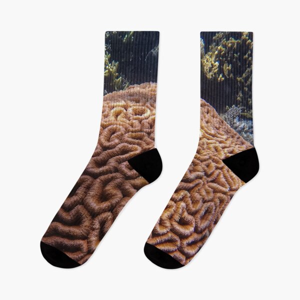 Item preview, Large Brain Coral Reef designed and sold by Luxxe87.