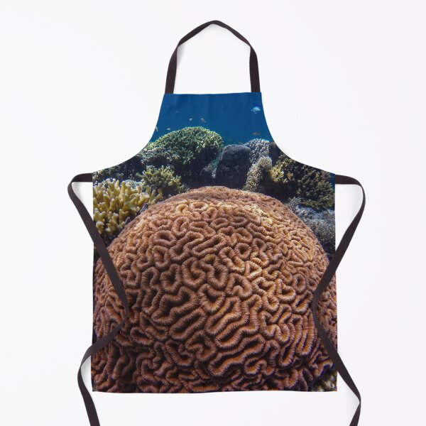 Item preview, Large Brain Coral Reef designed and sold by Luxxe87.
