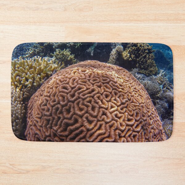 Item preview, Large Brain Coral Reef designed and sold by Luxxe87.