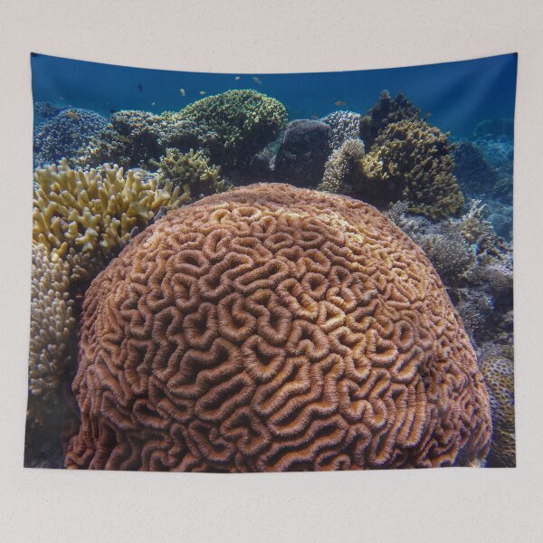 Item preview, Large Brain Coral Reef designed and sold by Luxxe87.