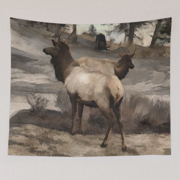 Item preview, Young Elk Bucks   -  Banff Alberta designed and sold by NaturePrints.