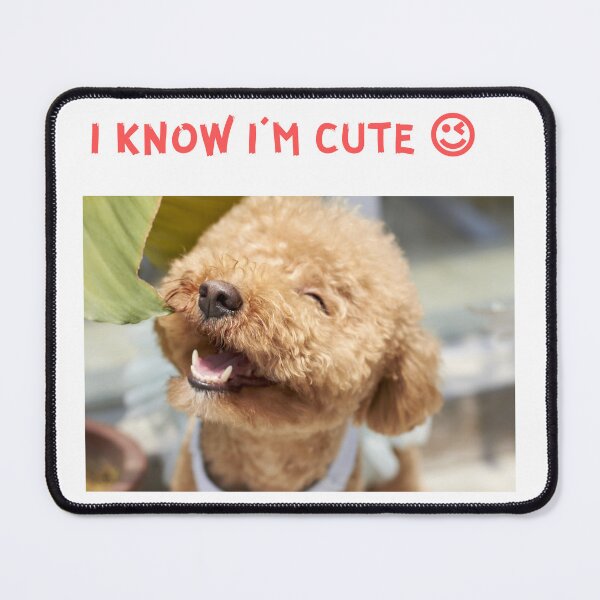 Item preview, " I KNOW I'M CUTE " CUTE DOG DESIGN designed and sold by findsbyjune374.