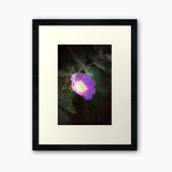 Item preview, glowing old fashioned rose elegance designed and sold by Dawna Morton.