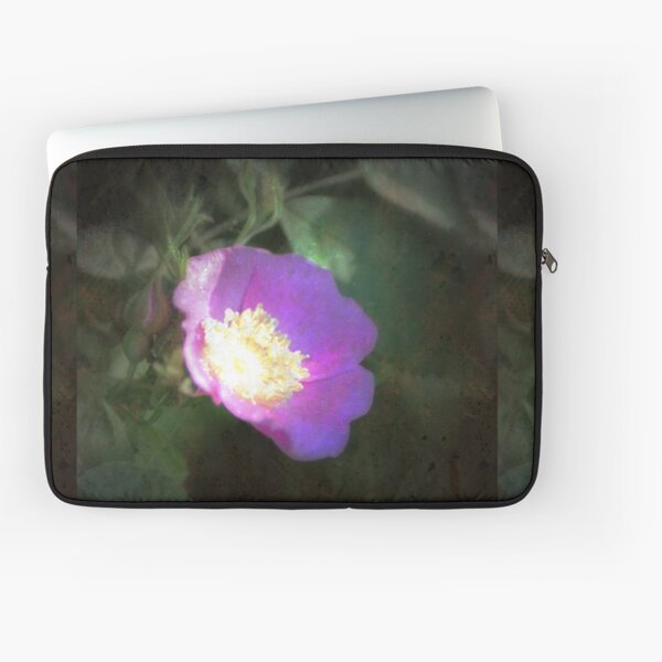 Item preview, glowing old fashioned rose elegance designed and sold by Dawna Morton.
