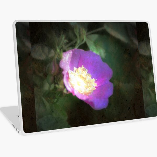 Item preview, glowing old fashioned rose elegance designed and sold by Dawna Morton.
