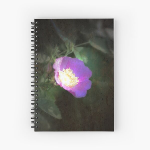 Item preview, glowing old fashioned rose elegance designed and sold by Dawna Morton.