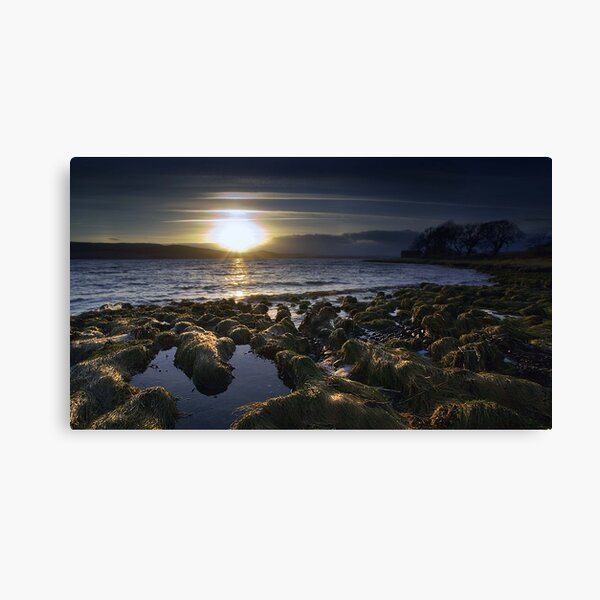 Redcastle IV Canvas Print