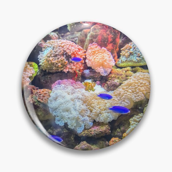 Item preview, Vibrant Blue Fish Living in Colorful Coral Reef designed and sold by Luxxe87.