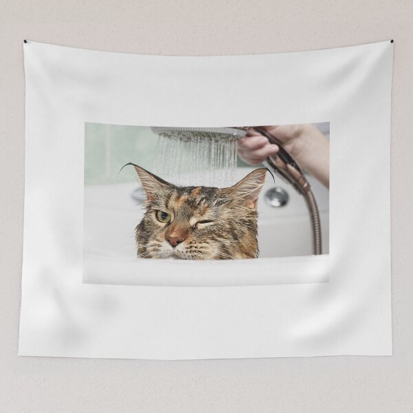 Item preview, Cat bath designed and sold by OllegNik.