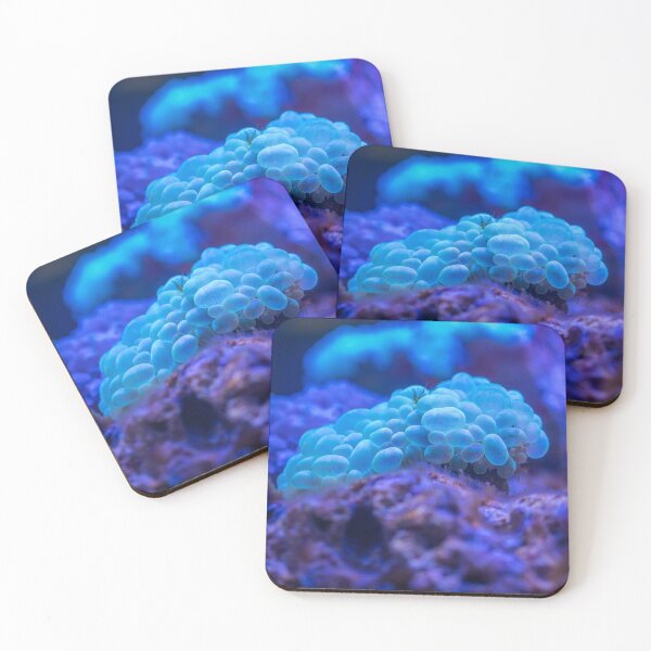 Item preview, Macro Sea Anemone Living on Coral Reef designed and sold by Luxxe87.