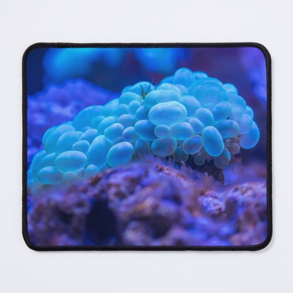 Item preview, Macro Sea Anemone Living on Coral Reef designed and sold by Luxxe87.