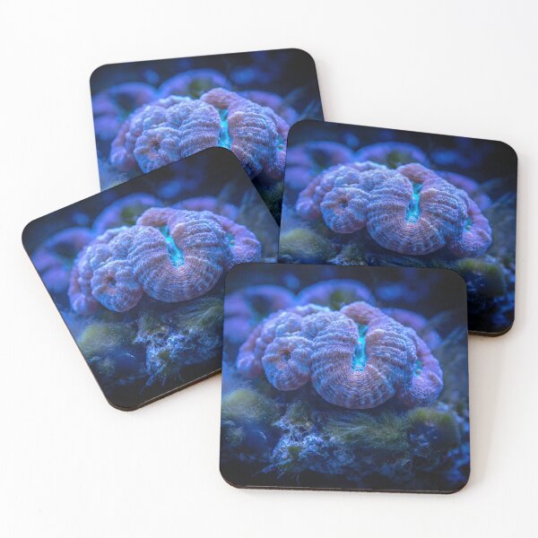 Item preview, Wonderful Sea Anemone Living on Coral Reef designed and sold by Luxxe87.