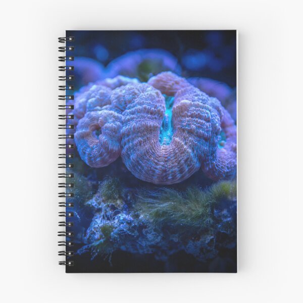 Item preview, Wonderful Sea Anemone Living on Coral Reef designed and sold by Luxxe87.