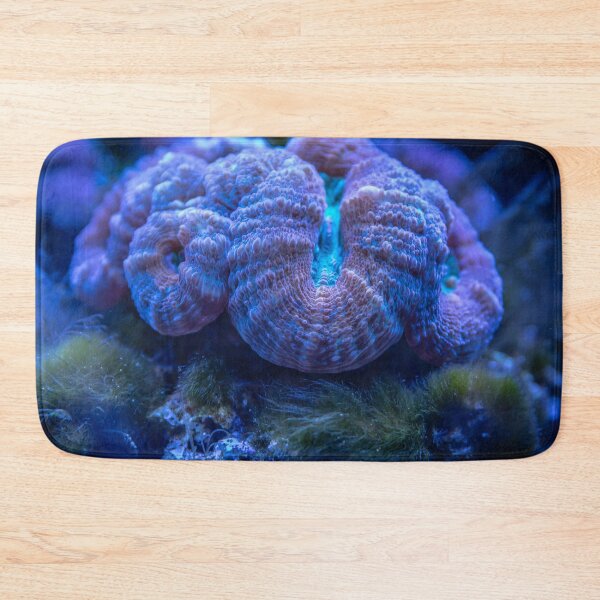 Item preview, Wonderful Sea Anemone Living on Coral Reef designed and sold by Luxxe87.