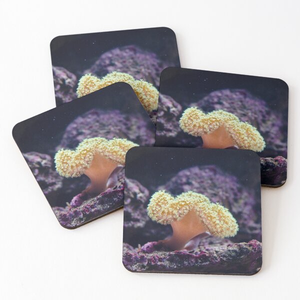 Item preview, Macro Picture of Yellow Sea Anemones Living on Coral Reef designed and sold by Luxxe87.