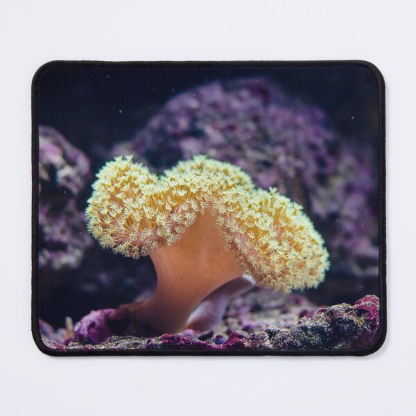Item preview, Macro Picture of Yellow Sea Anemones Living on Coral Reef designed and sold by Luxxe87.