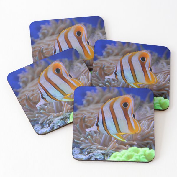Item preview, Copperband Butterfly Living on Coral Reef designed and sold by Luxxe87.