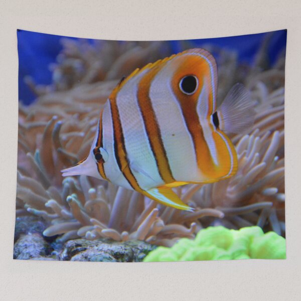 Item preview, Copperband Butterfly Living on Coral Reef designed and sold by Luxxe87.