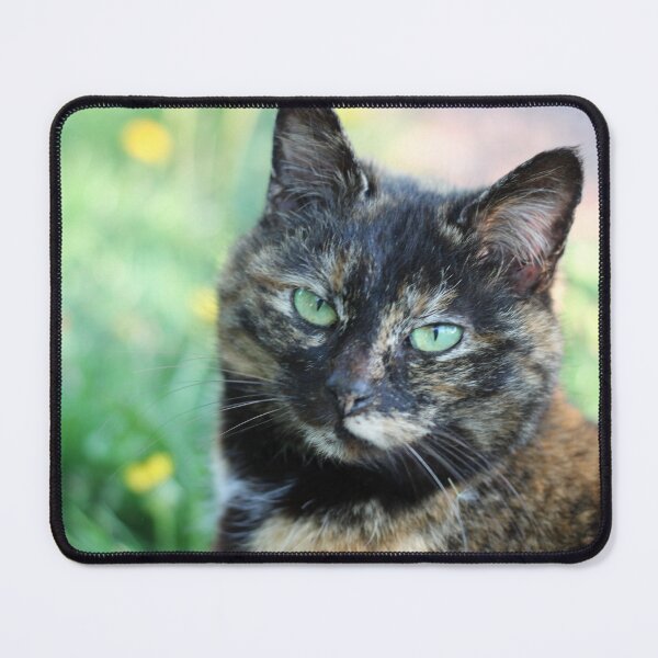 Item preview, tortoiseshell cat frowning designed and sold by wineandwords.