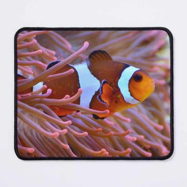 Item preview, Clown Fish Living on Coral Reef Happy designed and sold by Luxxe87.