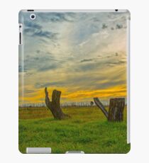Old Stumps... iPad Case/Skin