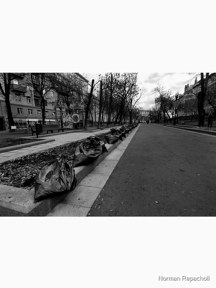 Taking out the trash - Moscow Russia by keystone