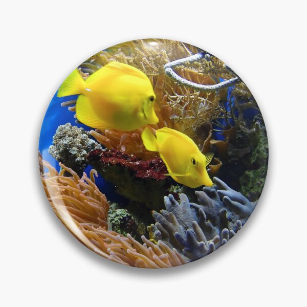 Item preview, Two Yellow Tang Fish Living on Coral Reef designed and sold by Luxxe87.