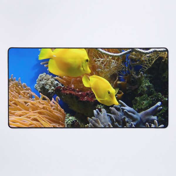 Item preview, Two Yellow Tang Fish Living on Coral Reef designed and sold by Luxxe87.