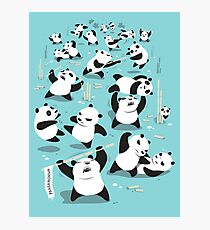 PANDAMONIUM Photographic Print