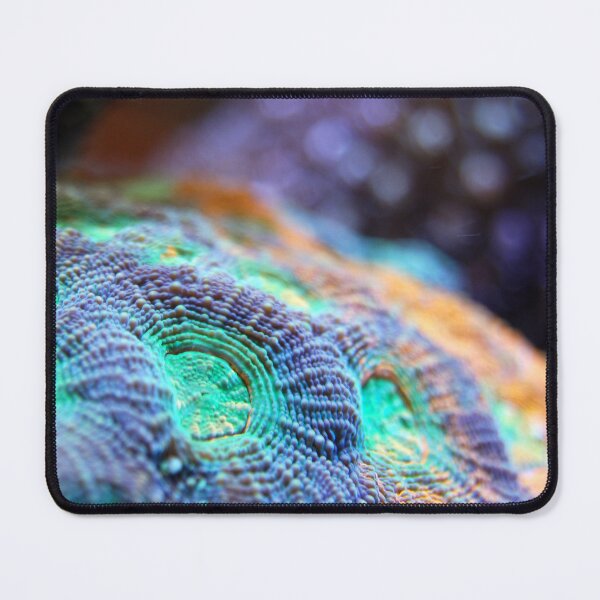 Item preview, Alien Looking Sea Anemone Living on Coral Reef designed and sold by Luxxe87.