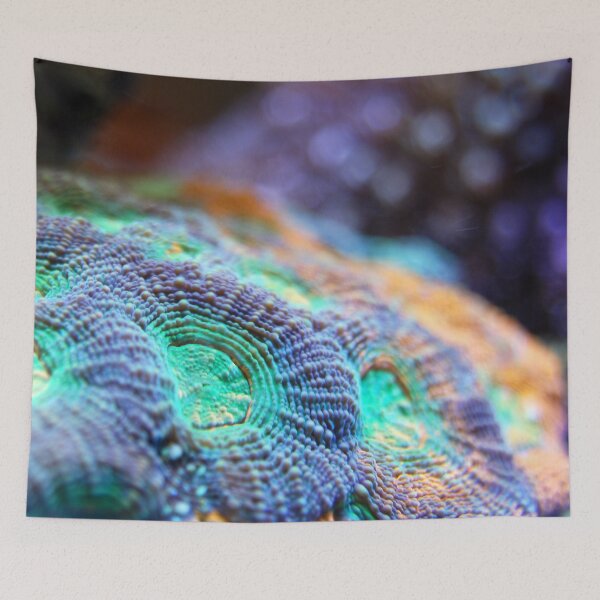 Item preview, Alien Looking Sea Anemone Living on Coral Reef designed and sold by Luxxe87.