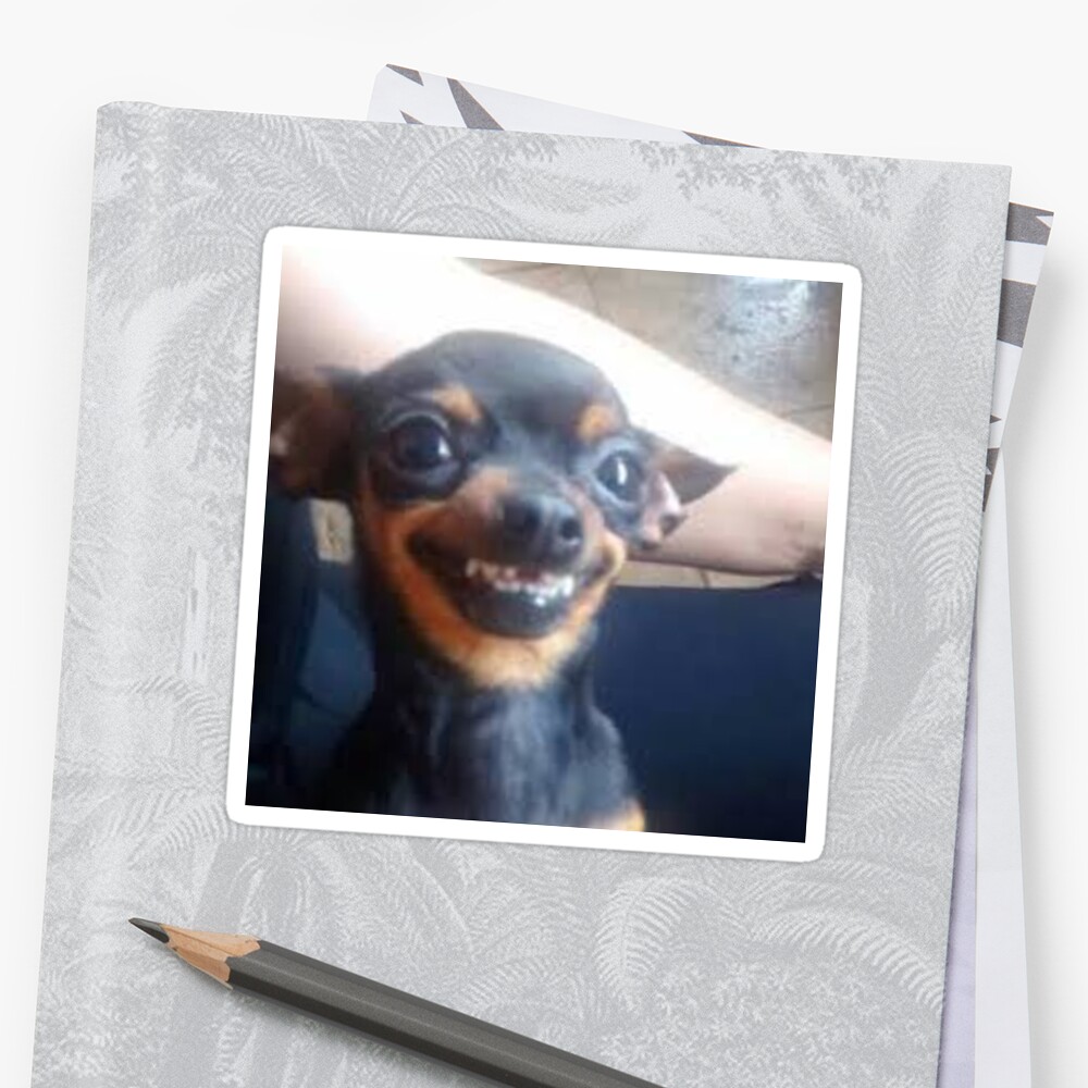 Smiling Chihuahua Meme Stickers By Crunkcolin Redbubble
