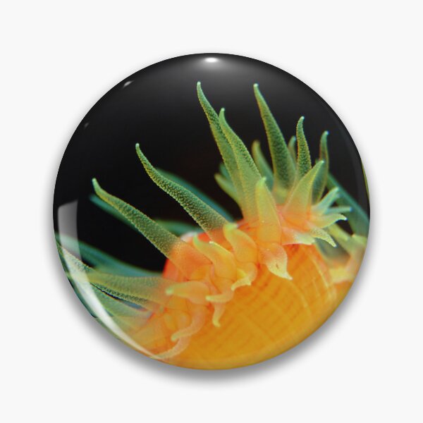 Item preview, Yellow Sea Anemone Macro designed and sold by Luxxe87.
