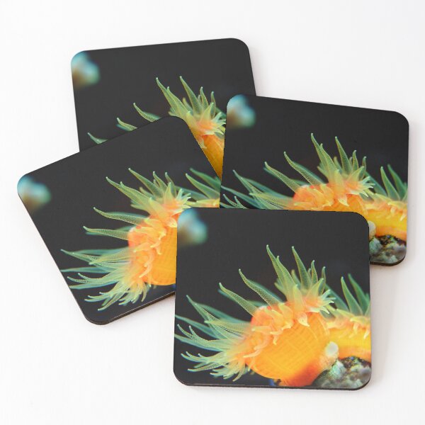 Item preview, Yellow Sea Anemone Macro designed and sold by Luxxe87.