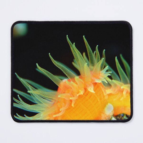 Item preview, Yellow Sea Anemone Macro designed and sold by Luxxe87.