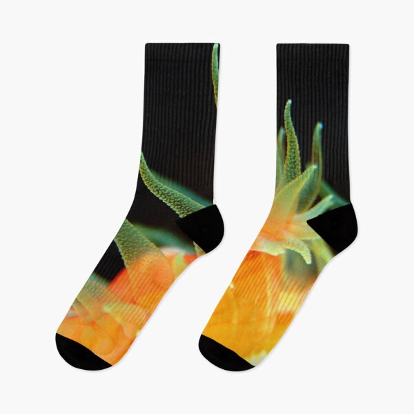 Item preview, Yellow Sea Anemone Macro designed and sold by Luxxe87.