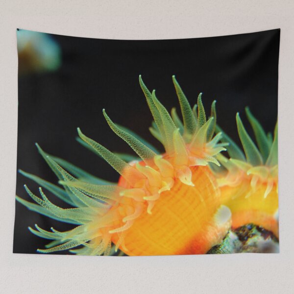 Item preview, Yellow Sea Anemone Macro designed and sold by Luxxe87.